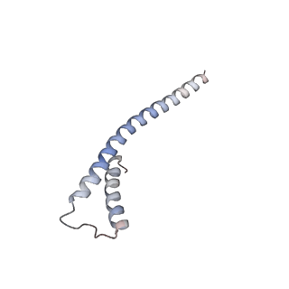14794_7zmb_b_v1-1
CryoEM structure of mitochondrial complex I from Chaetomium thermophilum (state 2)