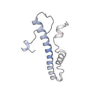 14794_7zmb_d_v1-1
CryoEM structure of mitochondrial complex I from Chaetomium thermophilum (state 2)