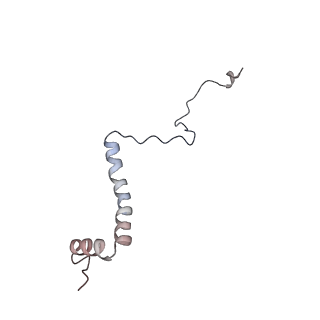 14794_7zmb_g_v1-1
CryoEM structure of mitochondrial complex I from Chaetomium thermophilum (state 2)