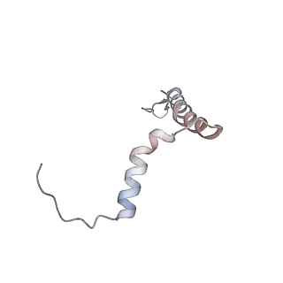 14794_7zmb_j_v1-1
CryoEM structure of mitochondrial complex I from Chaetomium thermophilum (state 2)