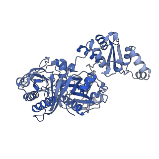 14795_7zmd_A_v1-1
Ketosynthase domain of module 3 from Brevibacillus Brevis orphan BGC11