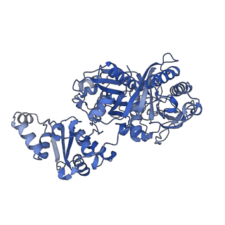 14795_7zmd_B_v1-1
Ketosynthase domain of module 3 from Brevibacillus Brevis orphan BGC11
