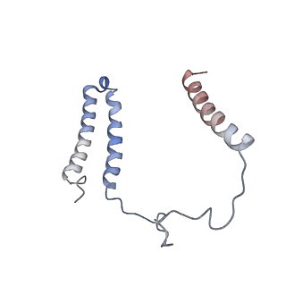 14796_7zme_3_v1-1
CryoEM structure of mitochondrial complex I from Chaetomium thermophilum (state 2) - membrane arm