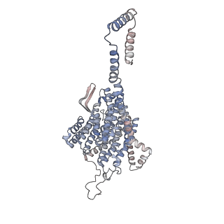14796_7zme_5_v1-1
CryoEM structure of mitochondrial complex I from Chaetomium thermophilum (state 2) - membrane arm