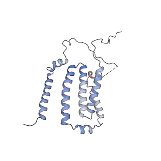 14796_7zme_6_v1-1
CryoEM structure of mitochondrial complex I from Chaetomium thermophilum (state 2) - membrane arm