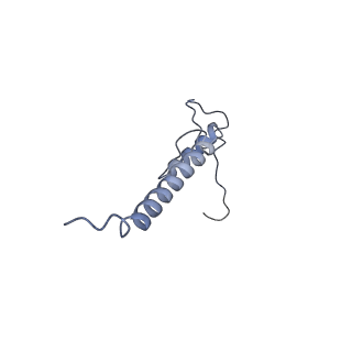 14796_7zme_D_v1-1
CryoEM structure of mitochondrial complex I from Chaetomium thermophilum (state 2) - membrane arm