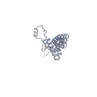 14796_7zme_J_v1-1
CryoEM structure of mitochondrial complex I from Chaetomium thermophilum (state 2) - membrane arm
