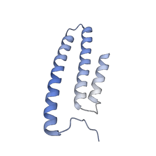 14796_7zme_L_v1-1
CryoEM structure of mitochondrial complex I from Chaetomium thermophilum (state 2) - membrane arm