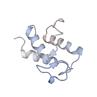 14796_7zme_Q_v1-1
CryoEM structure of mitochondrial complex I from Chaetomium thermophilum (state 2) - membrane arm