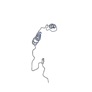 14796_7zme_S_v1-1
CryoEM structure of mitochondrial complex I from Chaetomium thermophilum (state 2) - membrane arm