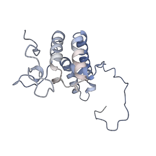 14796_7zme_U_v1-1
CryoEM structure of mitochondrial complex I from Chaetomium thermophilum (state 2) - membrane arm