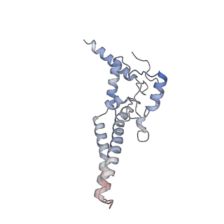 14796_7zme_X_v1-1
CryoEM structure of mitochondrial complex I from Chaetomium thermophilum (state 2) - membrane arm