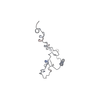 14796_7zme_a_v1-1
CryoEM structure of mitochondrial complex I from Chaetomium thermophilum (state 2) - membrane arm