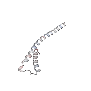 14796_7zme_b_v1-1
CryoEM structure of mitochondrial complex I from Chaetomium thermophilum (state 2) - membrane arm