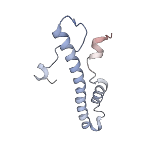 14796_7zme_d_v1-1
CryoEM structure of mitochondrial complex I from Chaetomium thermophilum (state 2) - membrane arm