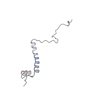 14796_7zme_g_v1-1
CryoEM structure of mitochondrial complex I from Chaetomium thermophilum (state 2) - membrane arm