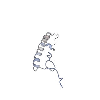 14796_7zme_i_v1-1
CryoEM structure of mitochondrial complex I from Chaetomium thermophilum (state 2) - membrane arm