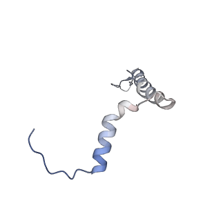 14796_7zme_j_v1-1
CryoEM structure of mitochondrial complex I from Chaetomium thermophilum (state 2) - membrane arm