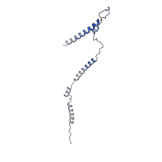 14796_7zme_n_v1-1
CryoEM structure of mitochondrial complex I from Chaetomium thermophilum (state 2) - membrane arm