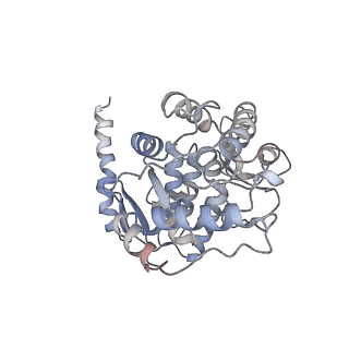 11309_6zn2_A_v1-1
Partial structure of tyrosine hydroxylase in complex with dopamine showing the catalytic domain and an alpha-helix from the regulatory domain involved in dopamine binding.