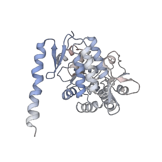 11309_6zn2_C_v1-1
Partial structure of tyrosine hydroxylase in complex with dopamine showing the catalytic domain and an alpha-helix from the regulatory domain involved in dopamine binding.