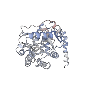 11309_6zn2_E_v1-1
Partial structure of tyrosine hydroxylase in complex with dopamine showing the catalytic domain and an alpha-helix from the regulatory domain involved in dopamine binding.