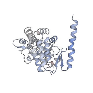 11309_6zn2_G_v1-1
Partial structure of tyrosine hydroxylase in complex with dopamine showing the catalytic domain and an alpha-helix from the regulatory domain involved in dopamine binding.