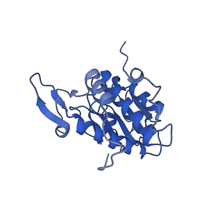 11310_6zn5_B_v1-1
SARS-CoV-2 Nsp1 bound to a pre-40S-like ribosome complex - state 2