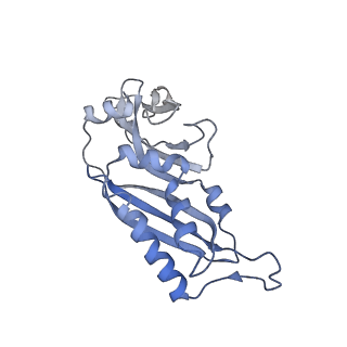 11310_6zn5_C_v1-1
SARS-CoV-2 Nsp1 bound to a pre-40S-like ribosome complex - state 2