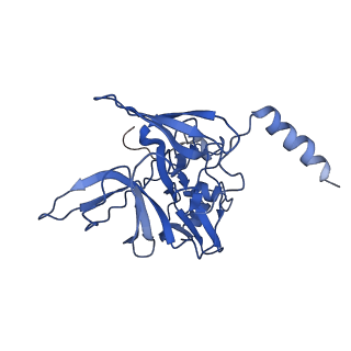11310_6zn5_E_v1-1
SARS-CoV-2 Nsp1 bound to a pre-40S-like ribosome complex - state 2
