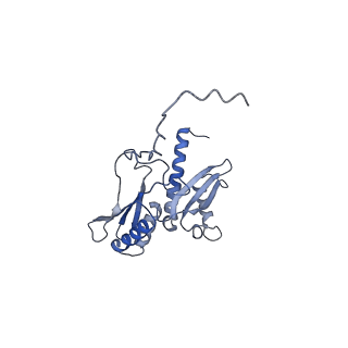 11310_6zn5_F_v1-1
SARS-CoV-2 Nsp1 bound to a pre-40S-like ribosome complex - state 2