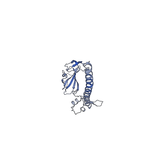 11310_6zn5_G_v1-1
SARS-CoV-2 Nsp1 bound to a pre-40S-like ribosome complex - state 2