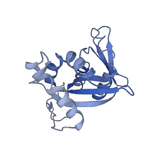 11310_6zn5_H_v1-1
SARS-CoV-2 Nsp1 bound to a pre-40S-like ribosome complex - state 2