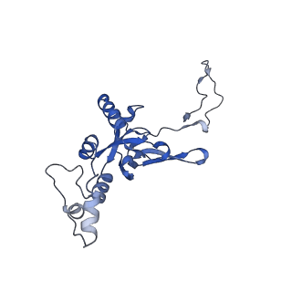 11310_6zn5_I_v1-1
SARS-CoV-2 Nsp1 bound to a pre-40S-like ribosome complex - state 2