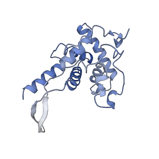 11310_6zn5_K_v1-1
SARS-CoV-2 Nsp1 bound to a pre-40S-like ribosome complex - state 2