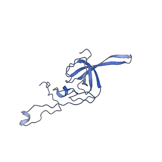 11310_6zn5_L_v1-1
SARS-CoV-2 Nsp1 bound to a pre-40S-like ribosome complex - state 2