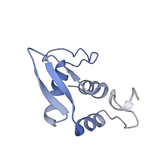 11310_6zn5_M_v1-1
SARS-CoV-2 Nsp1 bound to a pre-40S-like ribosome complex - state 2
