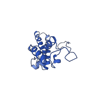 11310_6zn5_N_v1-1
SARS-CoV-2 Nsp1 bound to a pre-40S-like ribosome complex - state 2