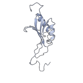11310_6zn5_P_v1-1
SARS-CoV-2 Nsp1 bound to a pre-40S-like ribosome complex - state 2