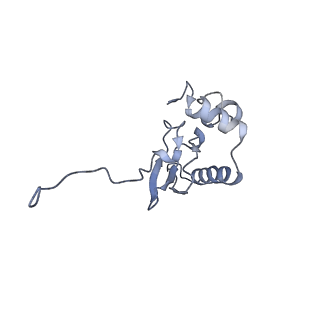 11310_6zn5_Q_v1-1
SARS-CoV-2 Nsp1 bound to a pre-40S-like ribosome complex - state 2