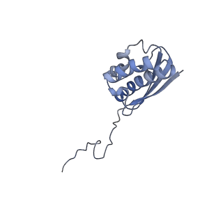 11310_6zn5_R_v1-1
SARS-CoV-2 Nsp1 bound to a pre-40S-like ribosome complex - state 2