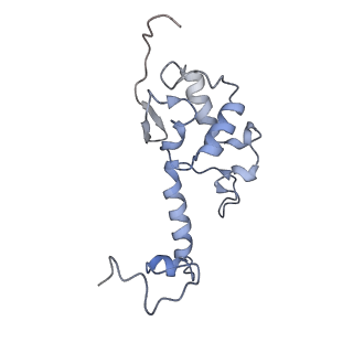 11310_6zn5_T_v1-1
SARS-CoV-2 Nsp1 bound to a pre-40S-like ribosome complex - state 2