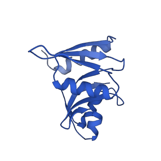 11310_6zn5_W_v1-1
SARS-CoV-2 Nsp1 bound to a pre-40S-like ribosome complex - state 2