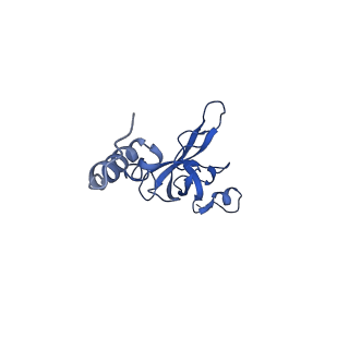 11310_6zn5_X_v1-1
SARS-CoV-2 Nsp1 bound to a pre-40S-like ribosome complex - state 2