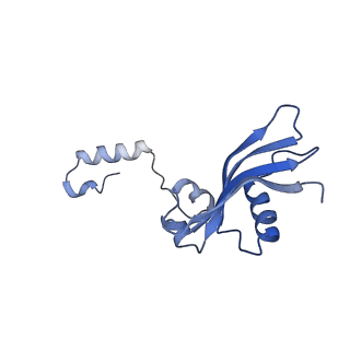11310_6zn5_Y_v1-1
SARS-CoV-2 Nsp1 bound to a pre-40S-like ribosome complex - state 2