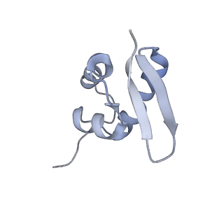 11310_6zn5_a_v1-1
SARS-CoV-2 Nsp1 bound to a pre-40S-like ribosome complex - state 2