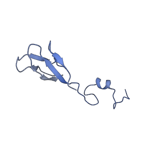 11310_6zn5_b_v1-1
SARS-CoV-2 Nsp1 bound to a pre-40S-like ribosome complex - state 2