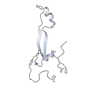 11310_6zn5_c_v1-1
SARS-CoV-2 Nsp1 bound to a pre-40S-like ribosome complex - state 2