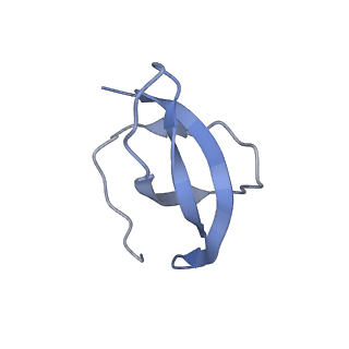 11310_6zn5_d_v1-1
SARS-CoV-2 Nsp1 bound to a pre-40S-like ribosome complex - state 2