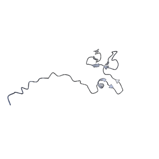 11310_6zn5_g_v1-1
SARS-CoV-2 Nsp1 bound to a pre-40S-like ribosome complex - state 2